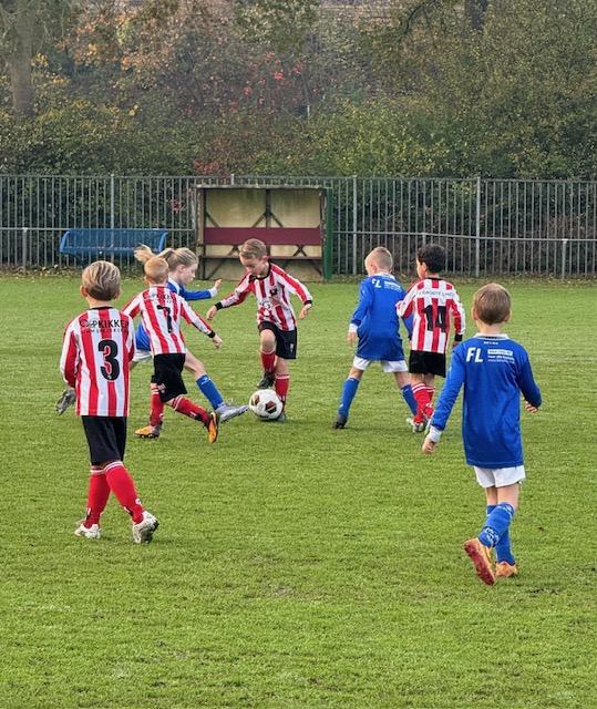 Groote Lindt J08-2 vs. Rijsoord J08-2